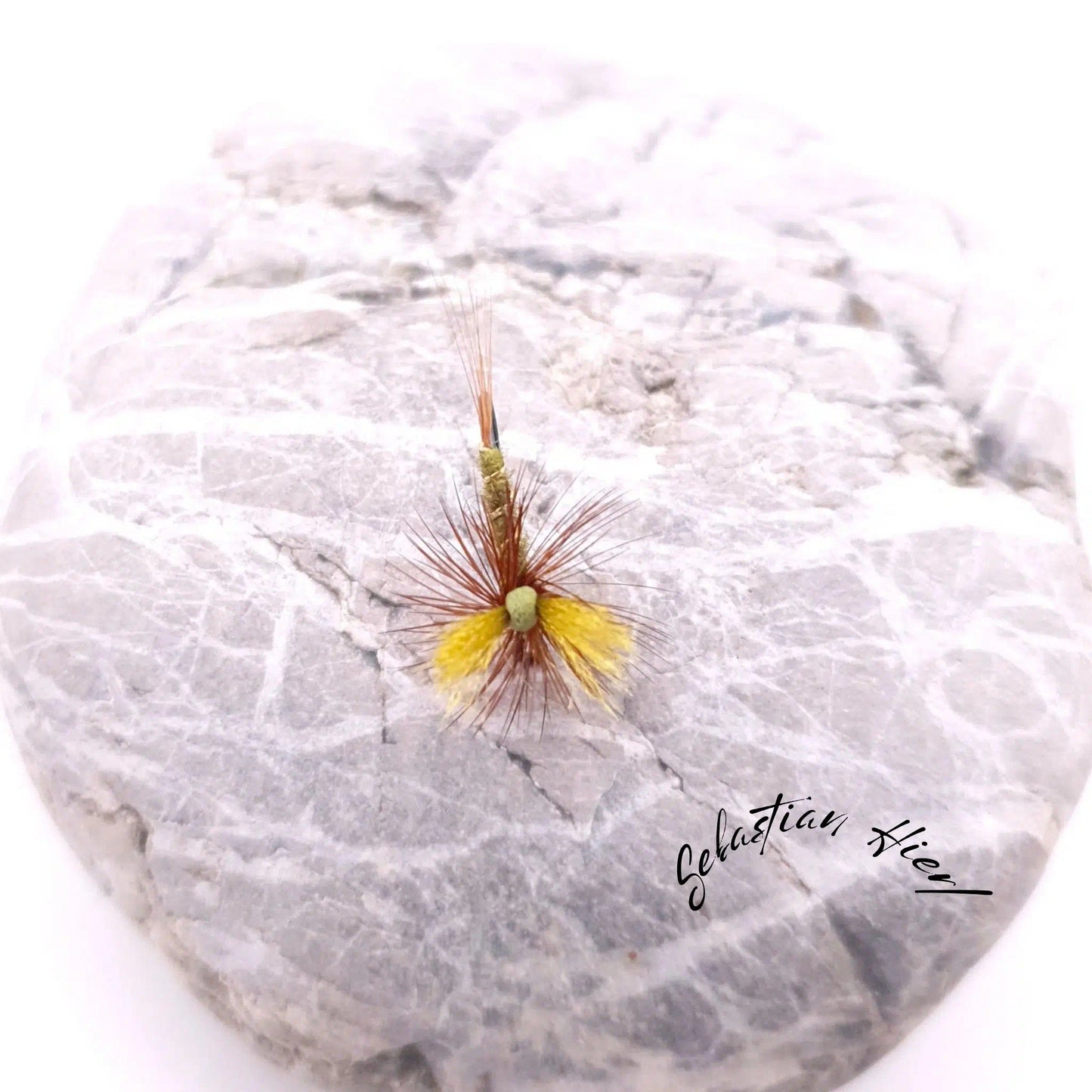 SH evo Klinkhammer BWO