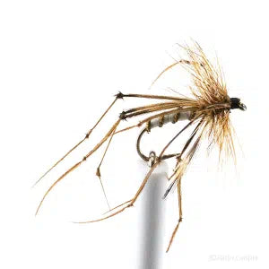 Daddy Longleg barbed