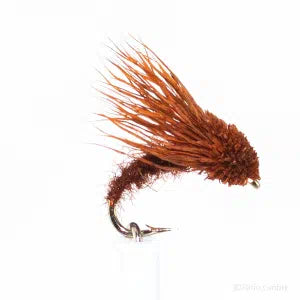 Streaking Caddis braun barbed