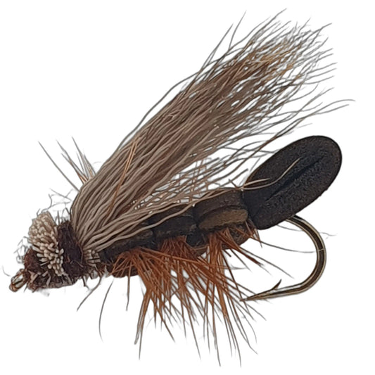 Grashüpfer Braun barbed