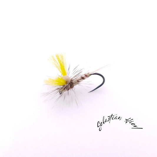 SH evo Klinkhammer Danika