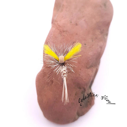 SH evo Klinkhammer Danika